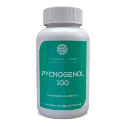 Pycnogenol 40 caps de 500 mg Indigo Life