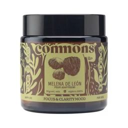 Hongo melena de leon Commons 50 g