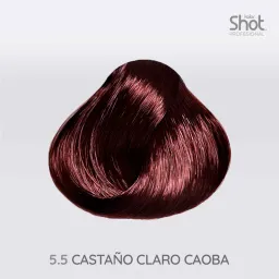Tinte castano claro  90 gr 20 vol Kolor Shot