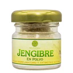 Jengibre en polvo Selvatica 15 gr.