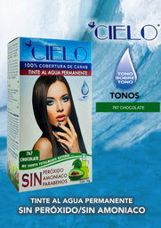 Tinte agua cielo chocolate no. 767