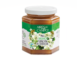 Miel floracion dzidzilche Aires de Campo 350 g
