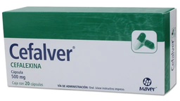 Cefalver 500 mg 20 caps cefalexina antibiotico