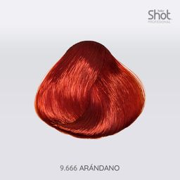 Tinte arandano 90 gr 20 vol Kolor Shot