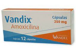 Vandix 250mg 12 caps amoxicilina